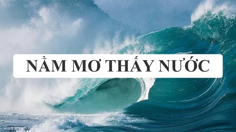 mo thay nuoc
